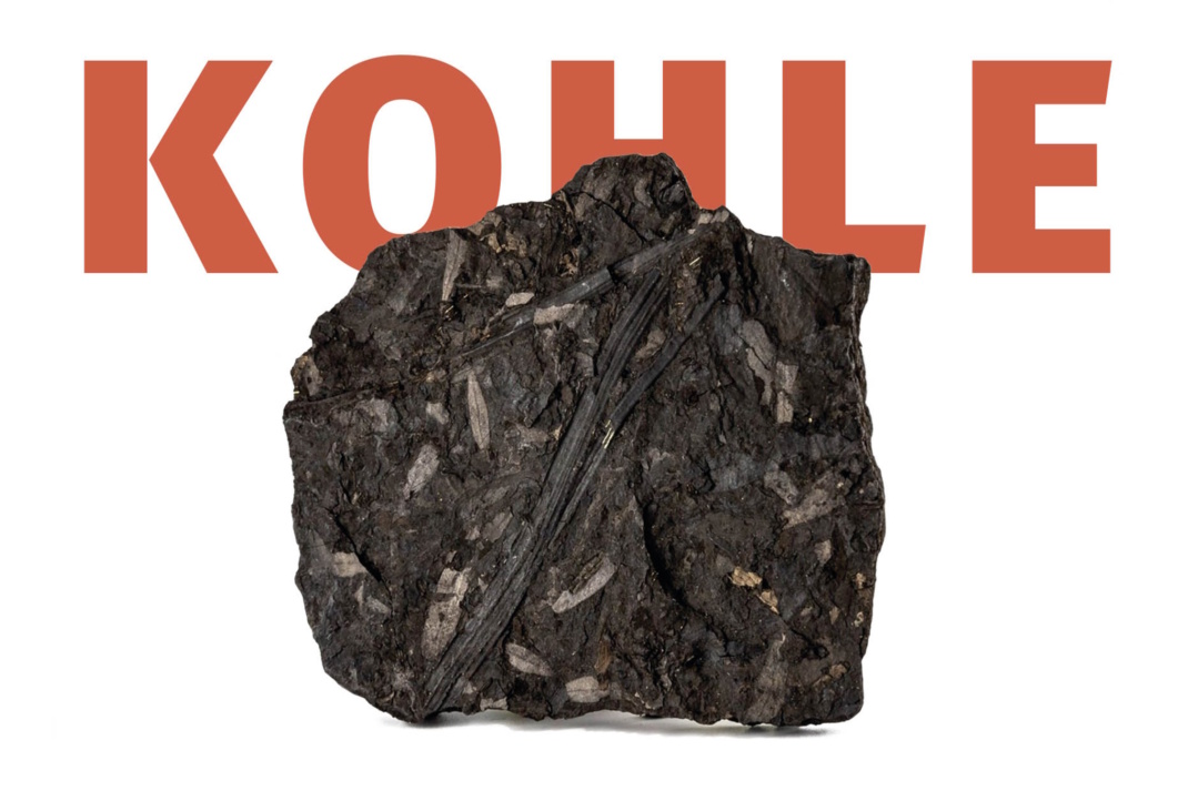 Logo der Ausstellung.