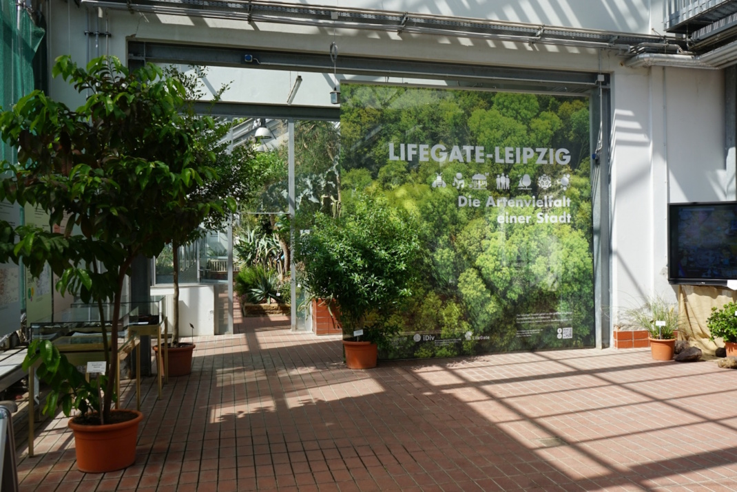 Die Ausstellung „LifeGate“.