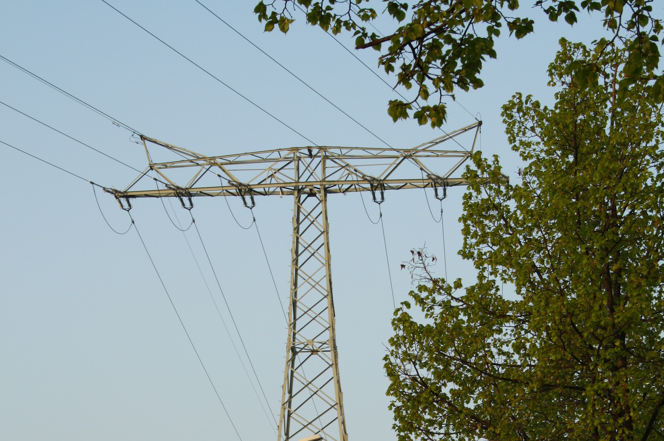 Strommast und Baum.