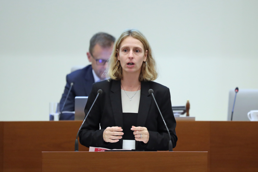 Franziska Riekewald im Stadtrat.