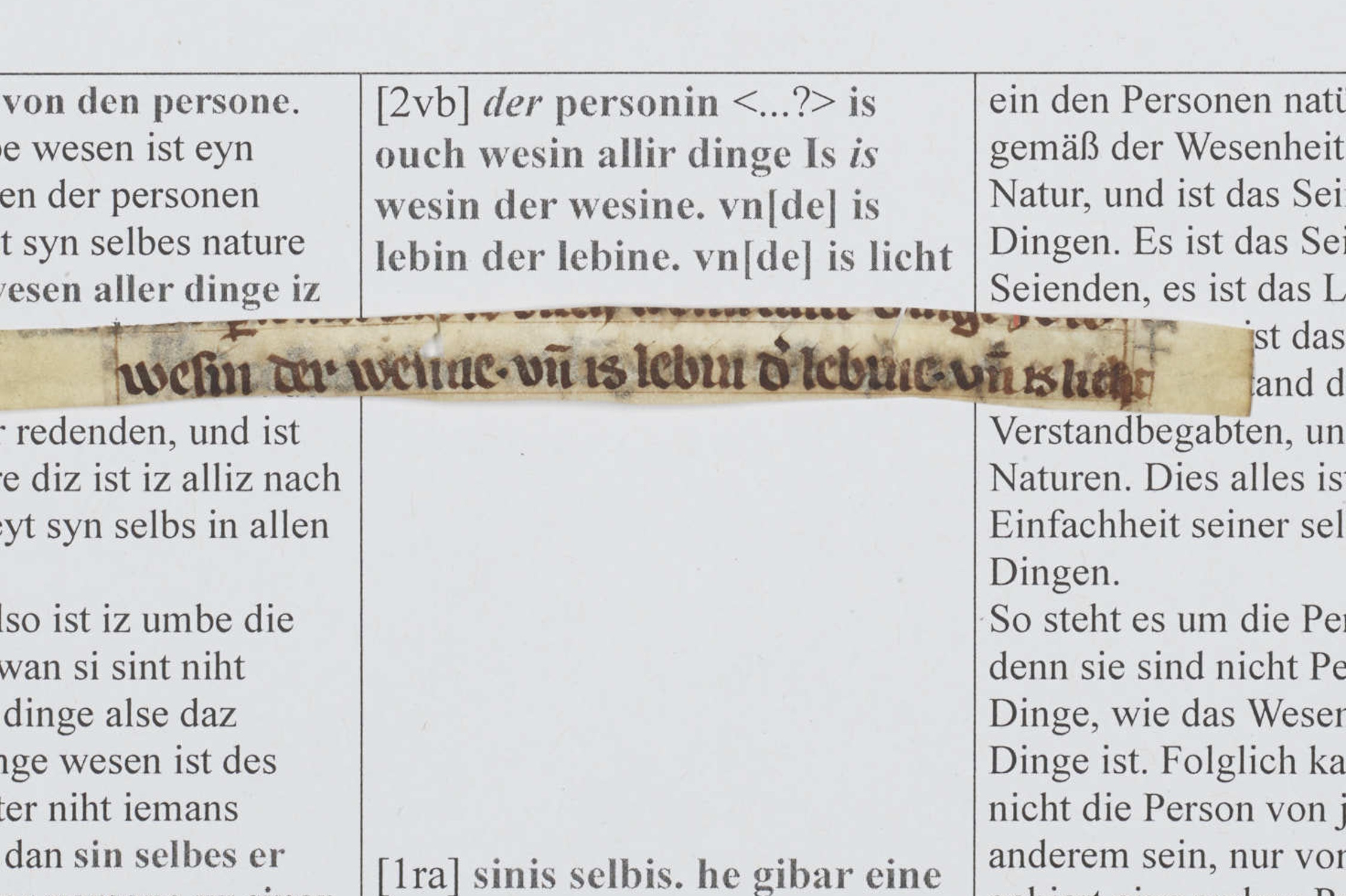 Auf den Pergamentfragmenten sind Ausschnitte aus dem weit verbreiteten Text "Von zweierlei Wegen" erhalten.Foto: Olaf Mokansky/ Universitätsbibliothek Leipzig