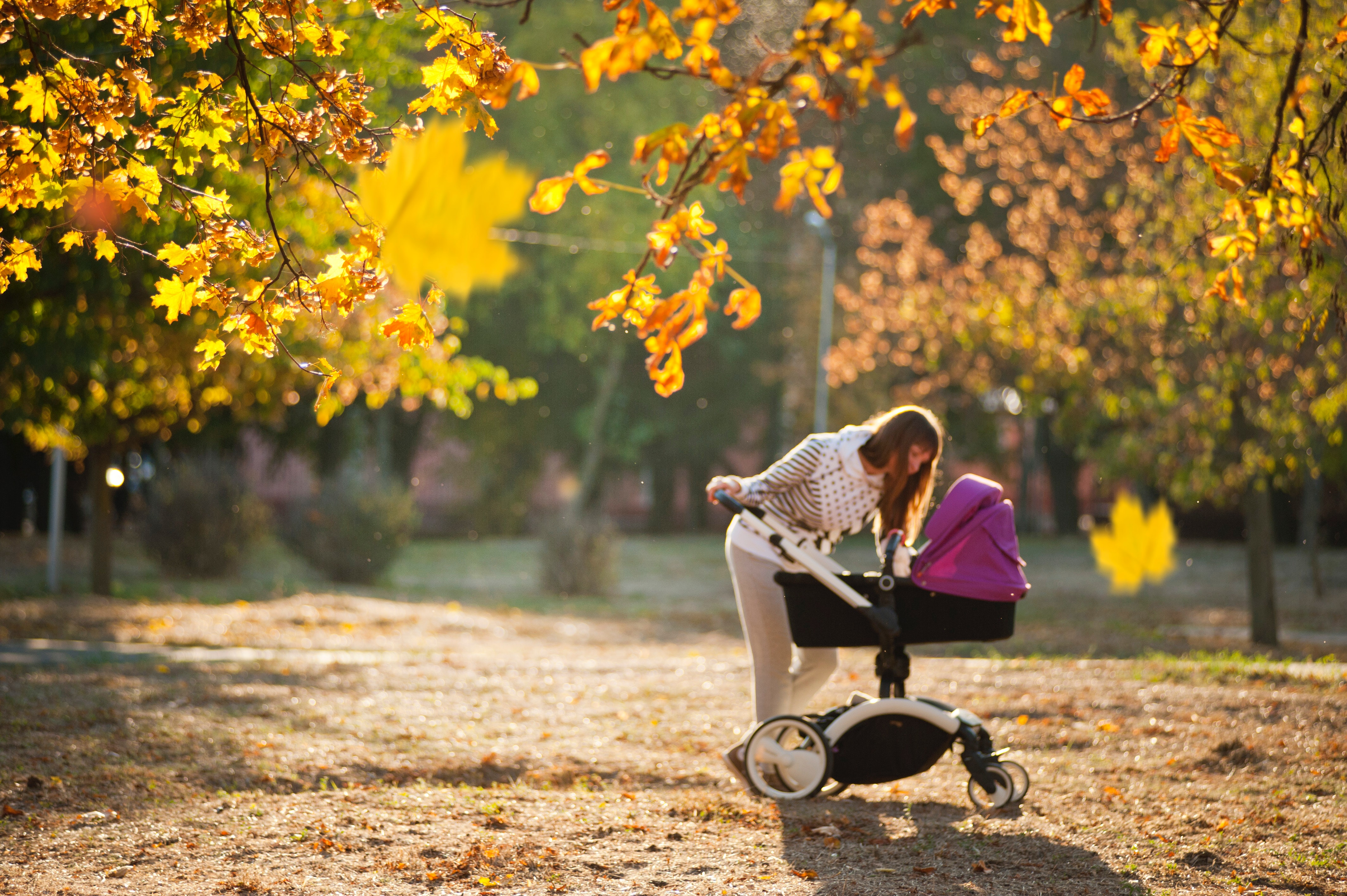 Stiftung Warentest: 7 Kinderwagen im Test  Leipziger Zeitung