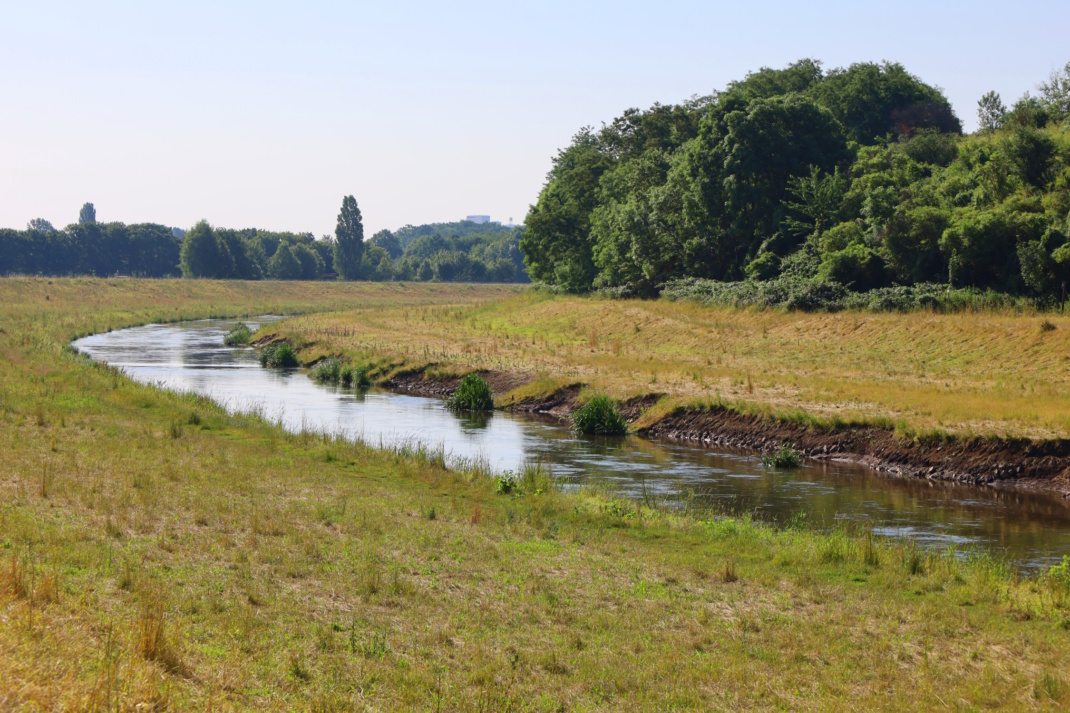 Neue Luppe mit den von der LTV vorgenommenen Bodenabtragungen am Ufer. Foto: Ralf Julke