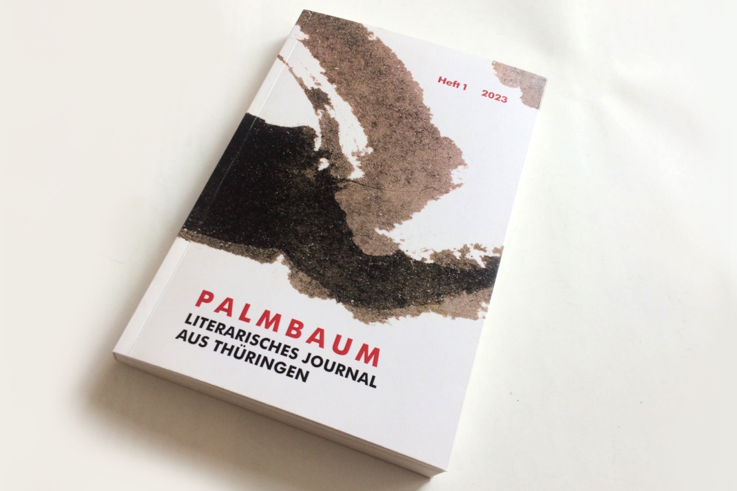 Abbild des Palmbaums 1/2023.