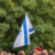 Demo mit Israel-Flagge.
