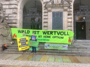 Protest vor dem Neuen Rathaus zum Internationalen Tag gegen Holzverbrennung in Kraftwerken, Menschen mit Bannern am Eingang.