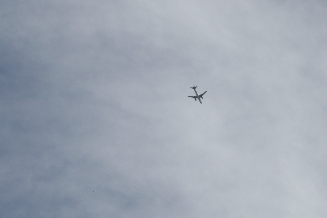 Glückliche Heimkehr. Foto: Ralf Julke