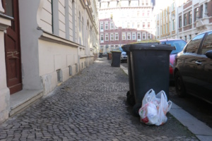 Mülltonnen am Straßenrand. Foto: Marko Hofmann