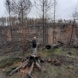 Baumstumpf, eine Person und abgebranntes Waldgebiet.