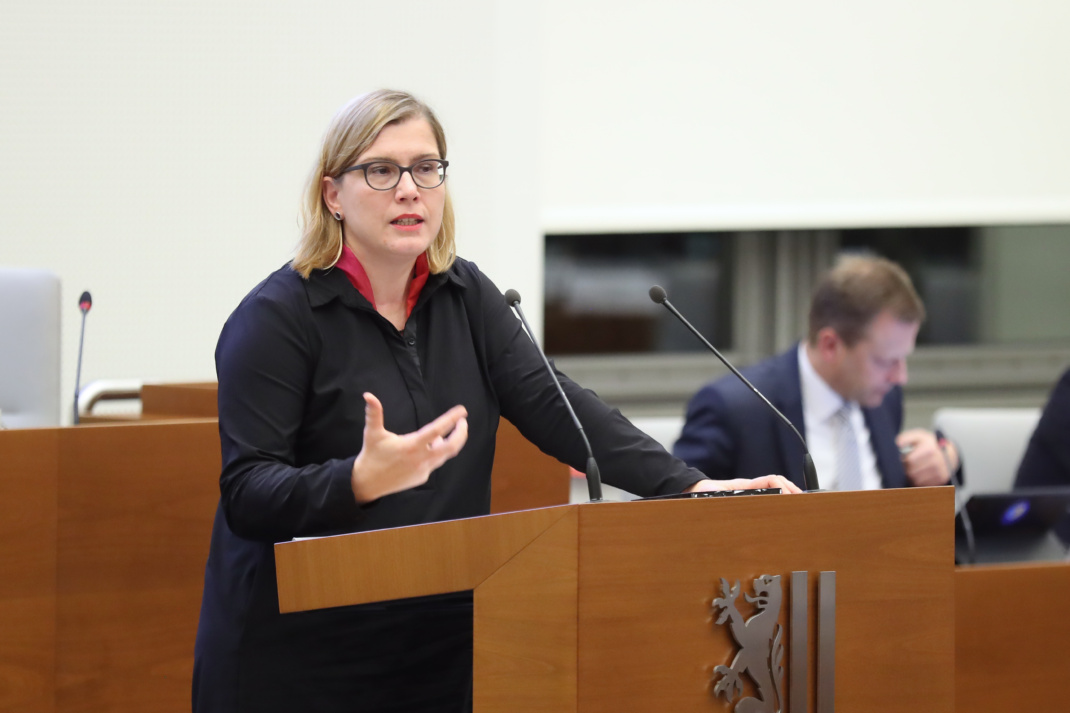Skadi Jennicke im Stadtrat.