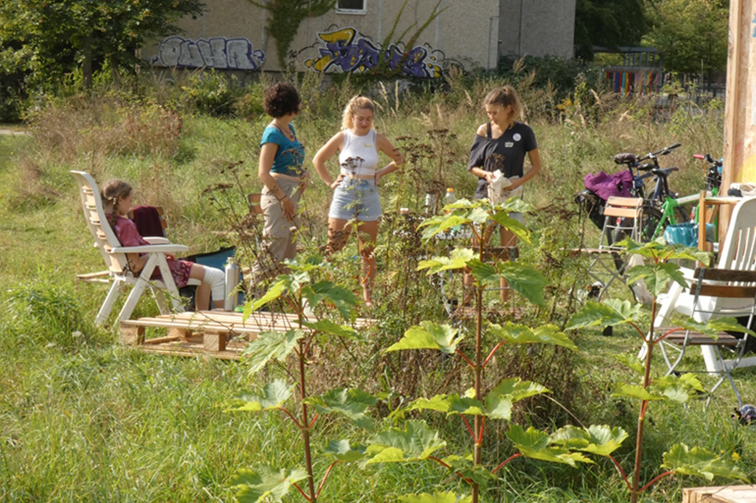 Menschen auf grüner Wiese.