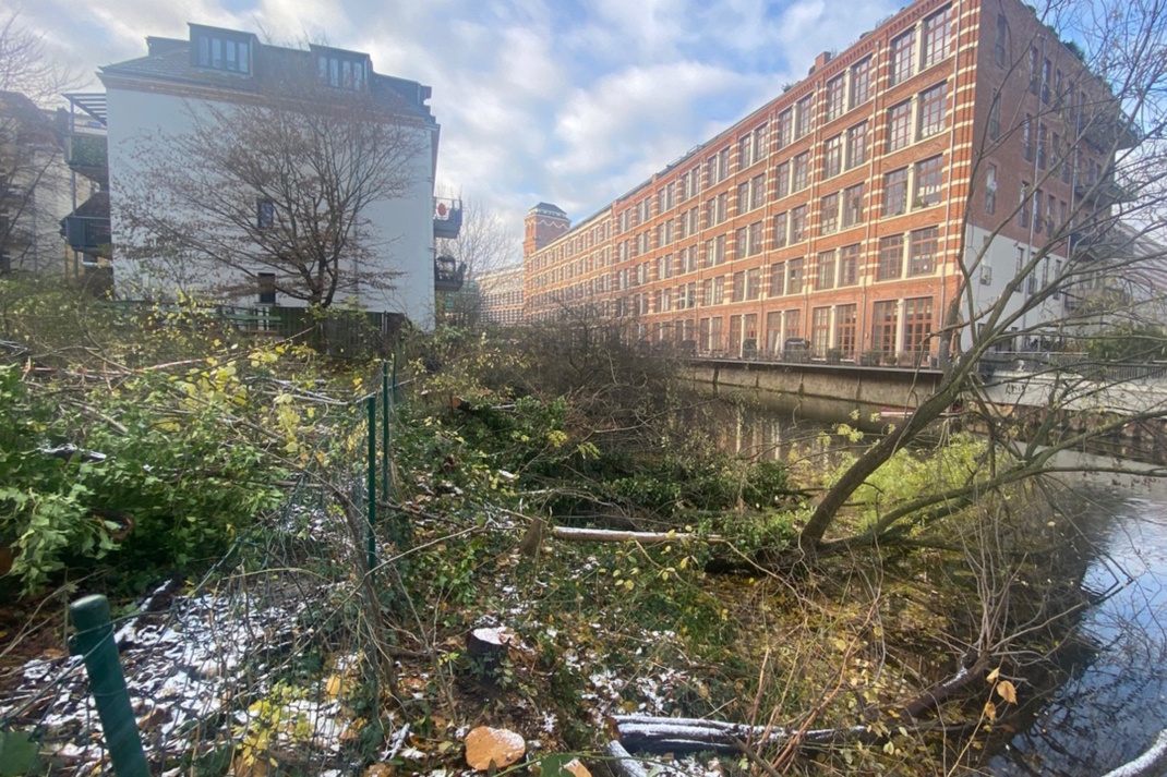 Die gefällten Bäume am Ufer der Weißen Elster. Foto: BUND Leipzig
