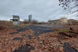 Große Freifläche, bedeckt von Asphalt, Laub und Bewuchs.