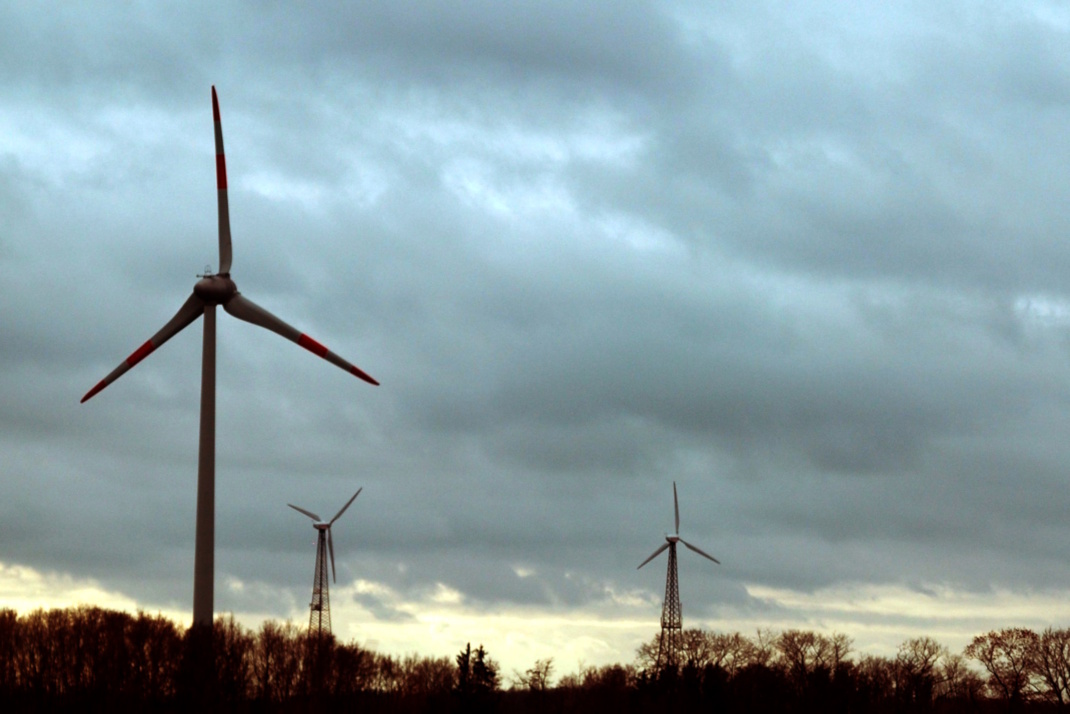 Morgendämmerung in der Lausitz. Foto: Michael Freitag