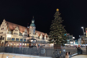 Altes Rathaus und Weihnachtsbaum.