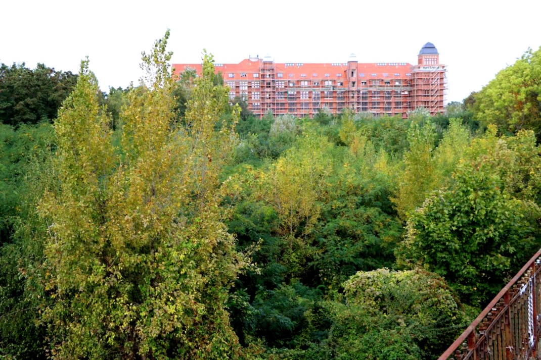 Grüner Bewuchs, Gebäude im Hintergrund.