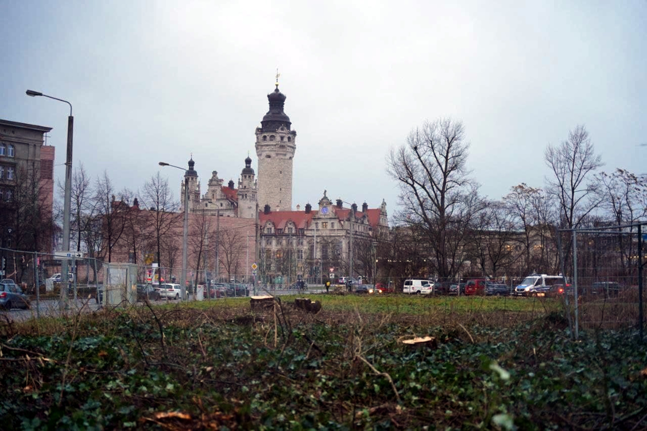 Platz mit gefällten Bäumen, Rathausturm im Hintergrund.