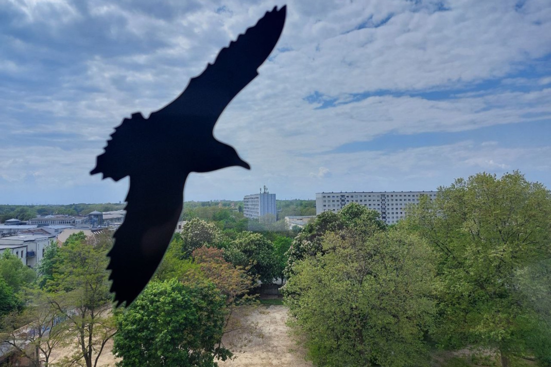 Aufgeklebte Vogelsilhouette