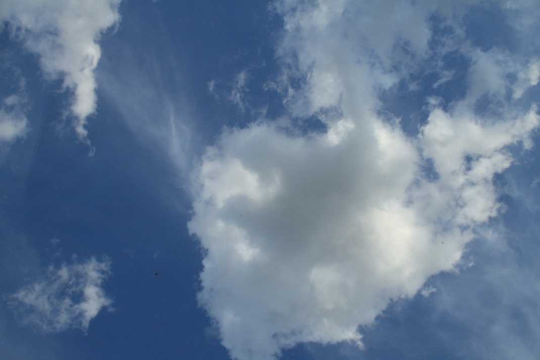 Höchste Zeit für eine mutige Klimapolitik. Foto: Ralf Julke