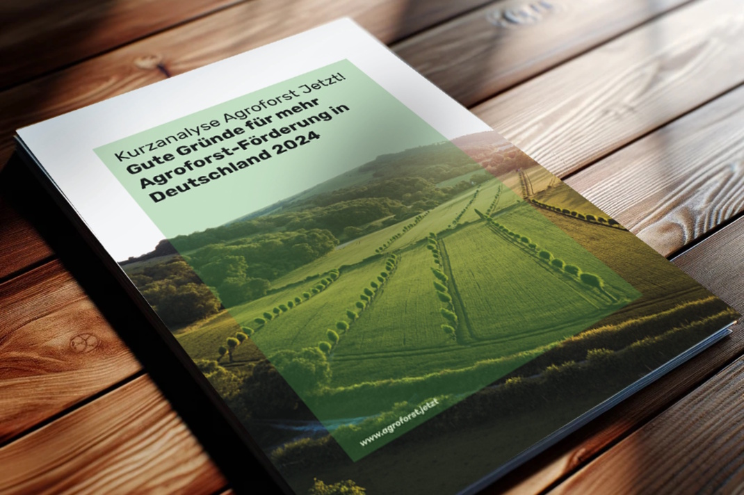 Cover einer Broschüre.