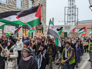 Pro-Palästina-Demo, Menschen mit Flagge.