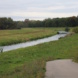 Fließgewässer mit Uferbereich, grüne Wiese.