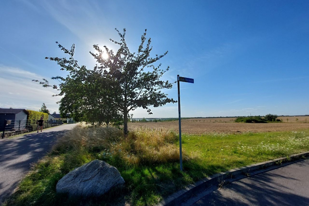 Baum, Sonne, blauer Himmel, Wiese, Fahrbahnen.
