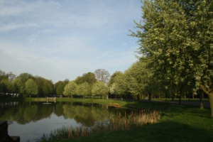 Teich, umgeben von viel Grün.