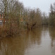 Uferbereich mit Fluss und Bäumen.