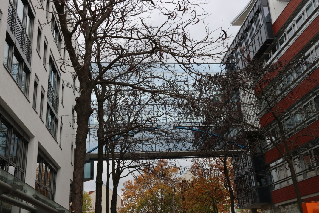 Eine der beiden Glasbrücken zwischen den Gebäuden. Foto: Sabine Eicker