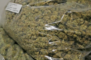 Mehrere Tüten mit sichergestelltem Cannabis.