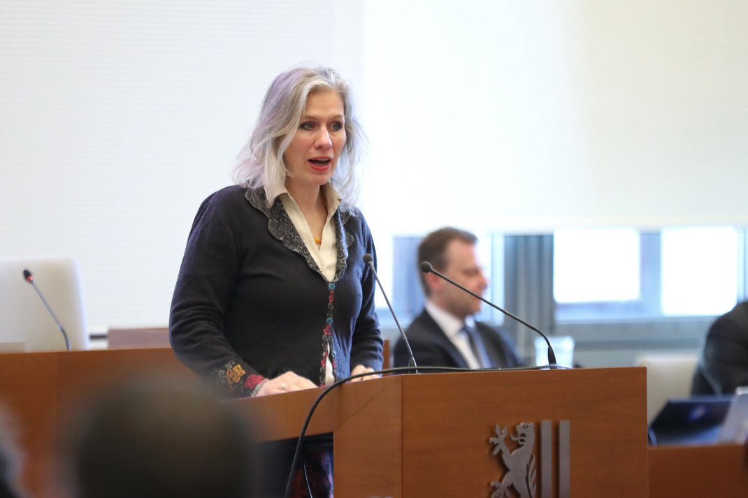 Katharina Krefft im Stadtrat.
