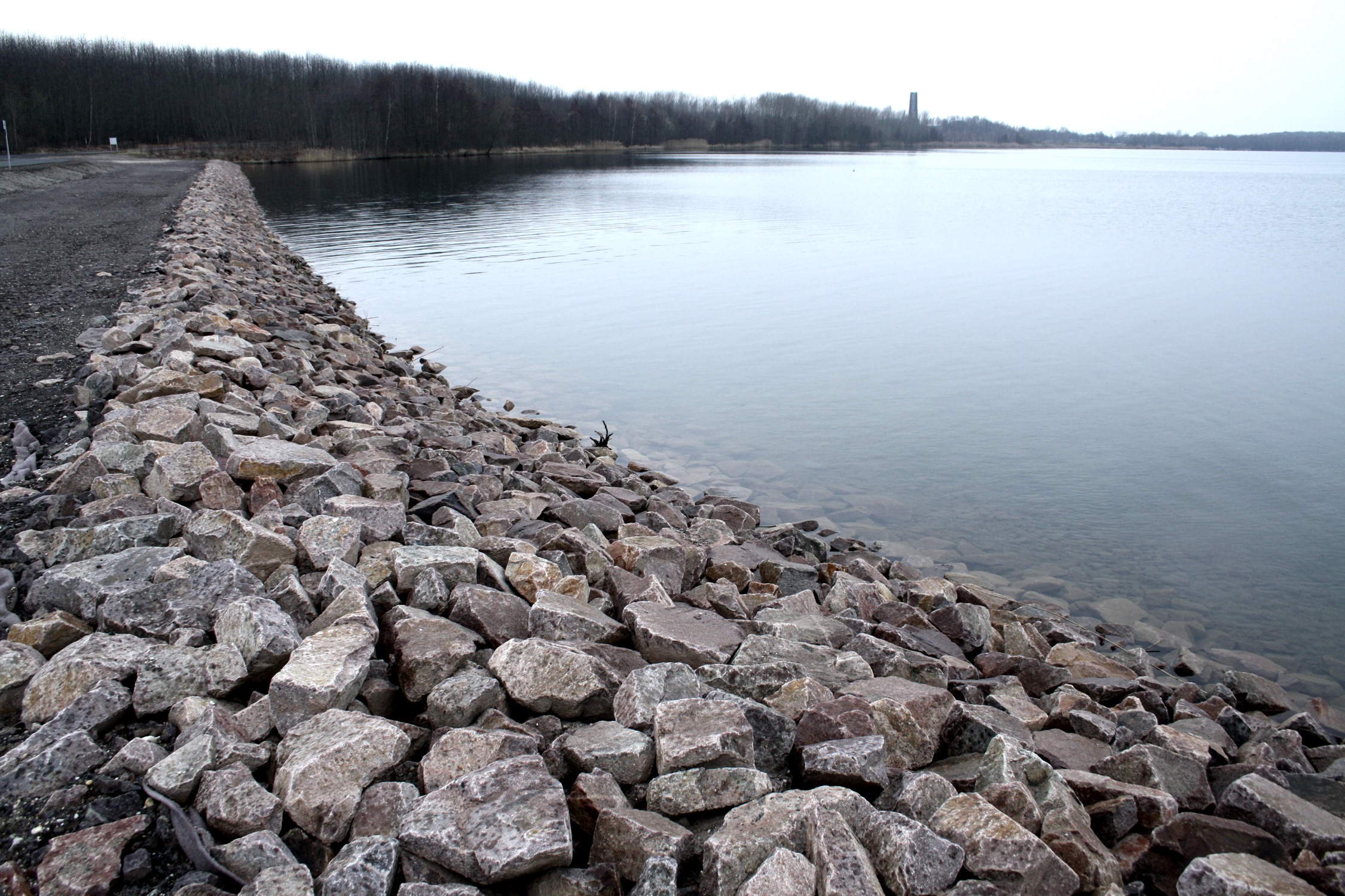 Das geschützte Gebiet am Südende des Cospudener Sees. Foto: Ralf Julke