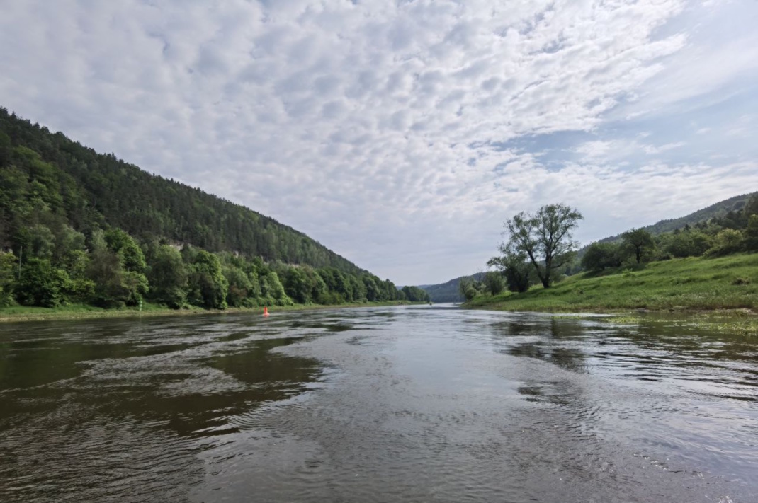 Die Elbe im Elbsandsteingebirge.