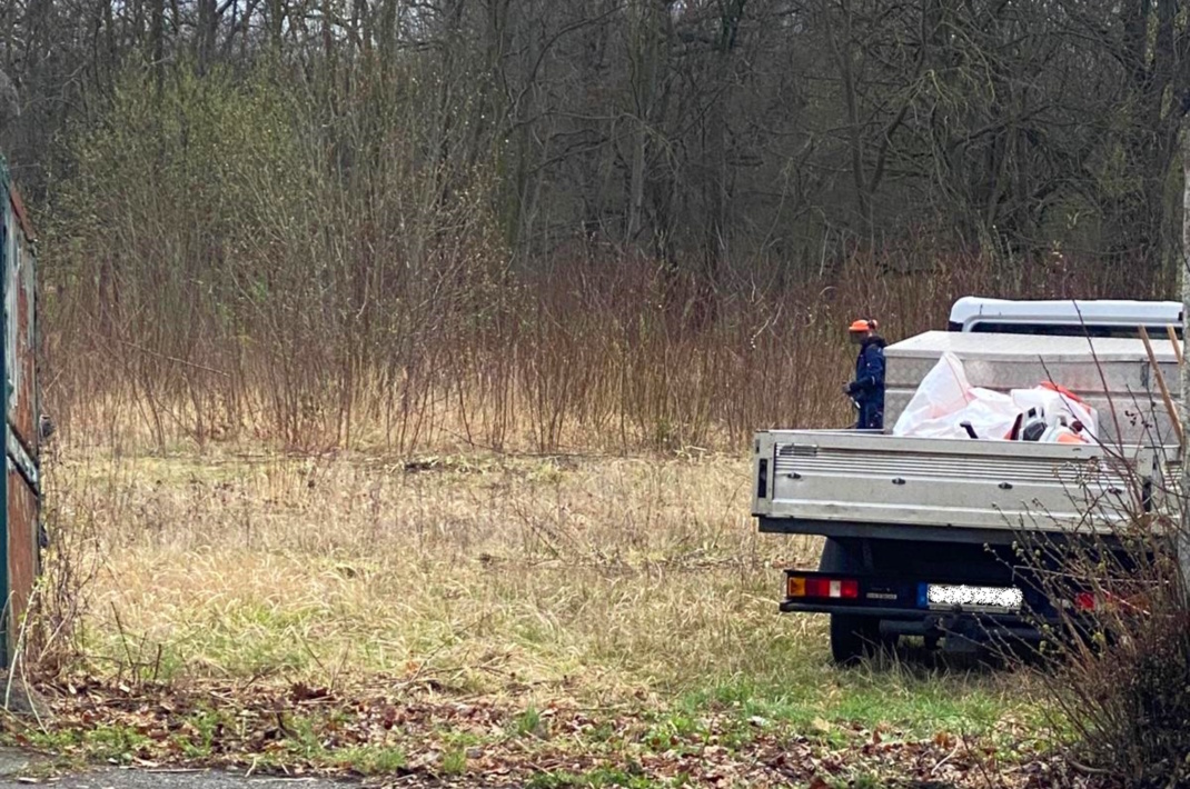Rodearbeiten auf dem Gelände des ehemalige Rittergutes Kleinzschocher.
