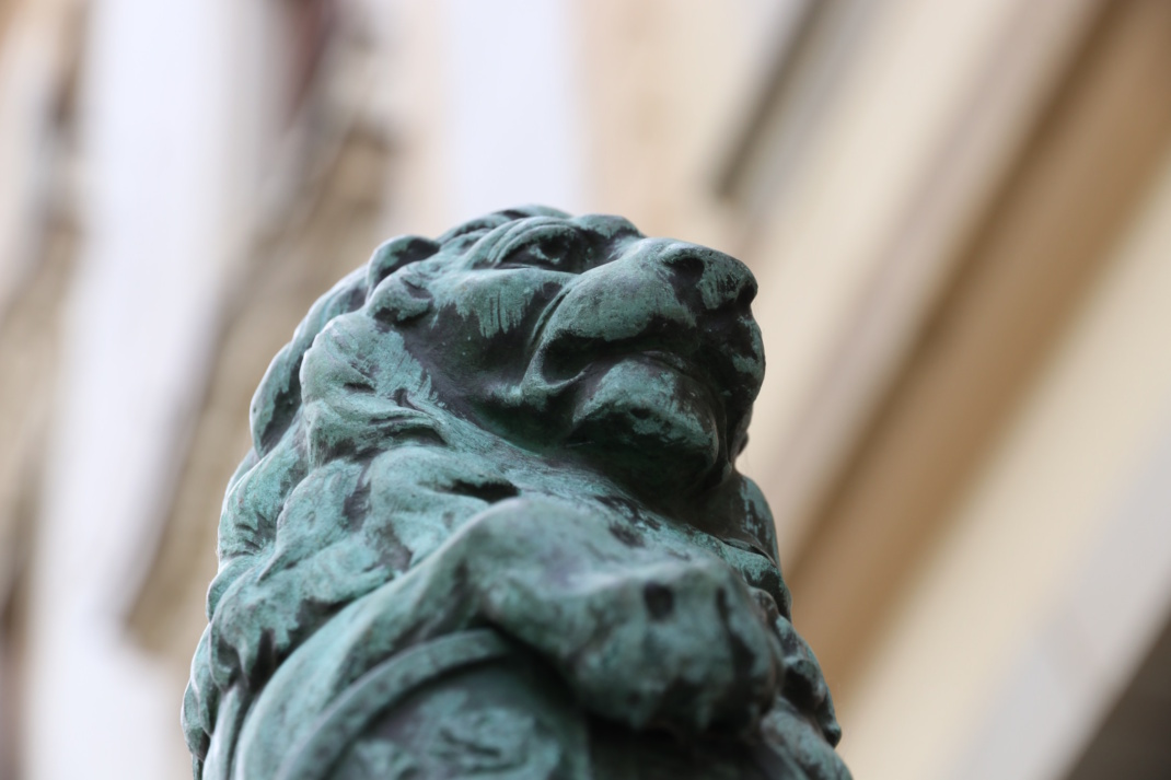 Steinerner Kopf eines Löwen, Nahaufnahme.