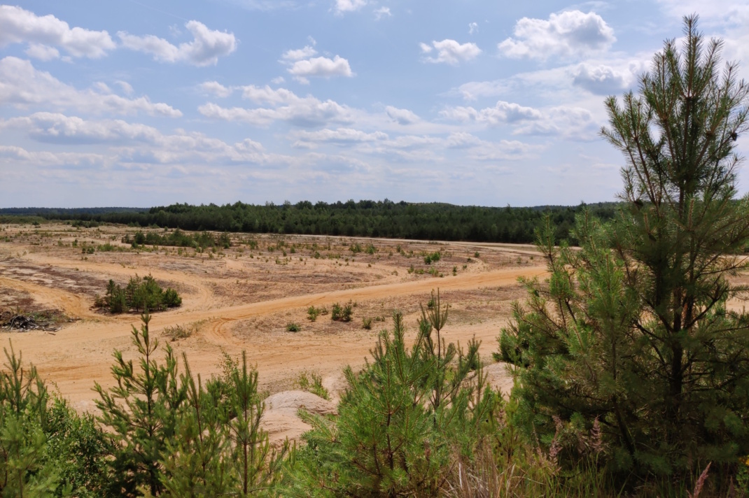Blick auf Flächen im Bereich des Tagebaus „Laußnitz 1“. Foto: Maria Vlaic / NABU Sachsen