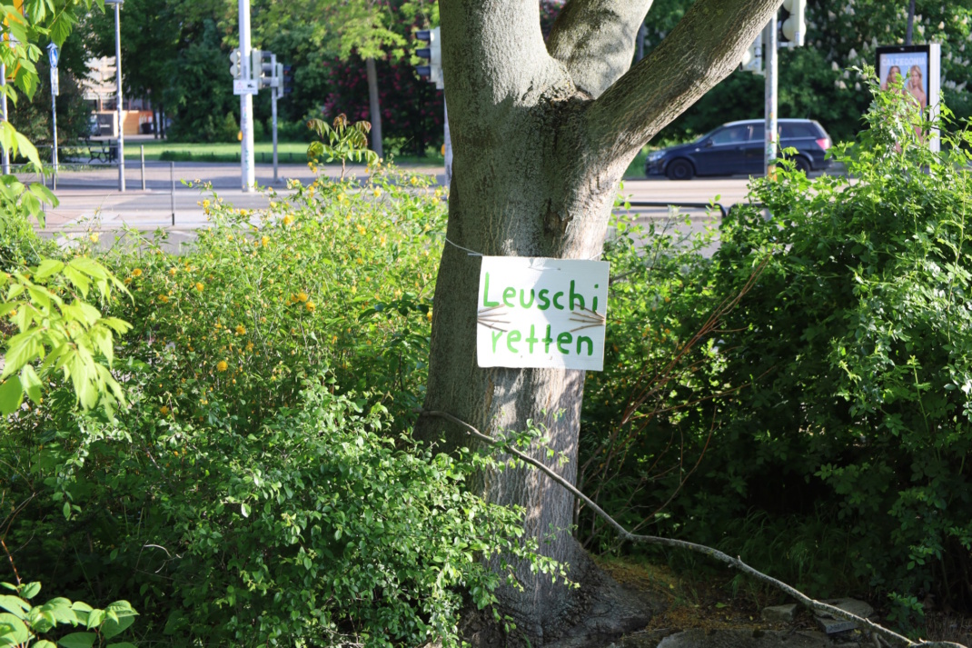 Baum, umgeben mit Sträuchern und einem Plakat versehen.