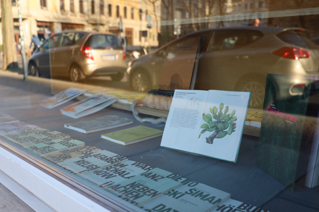 Schaufenster mit Büchern, sich spiegelnde Autos.