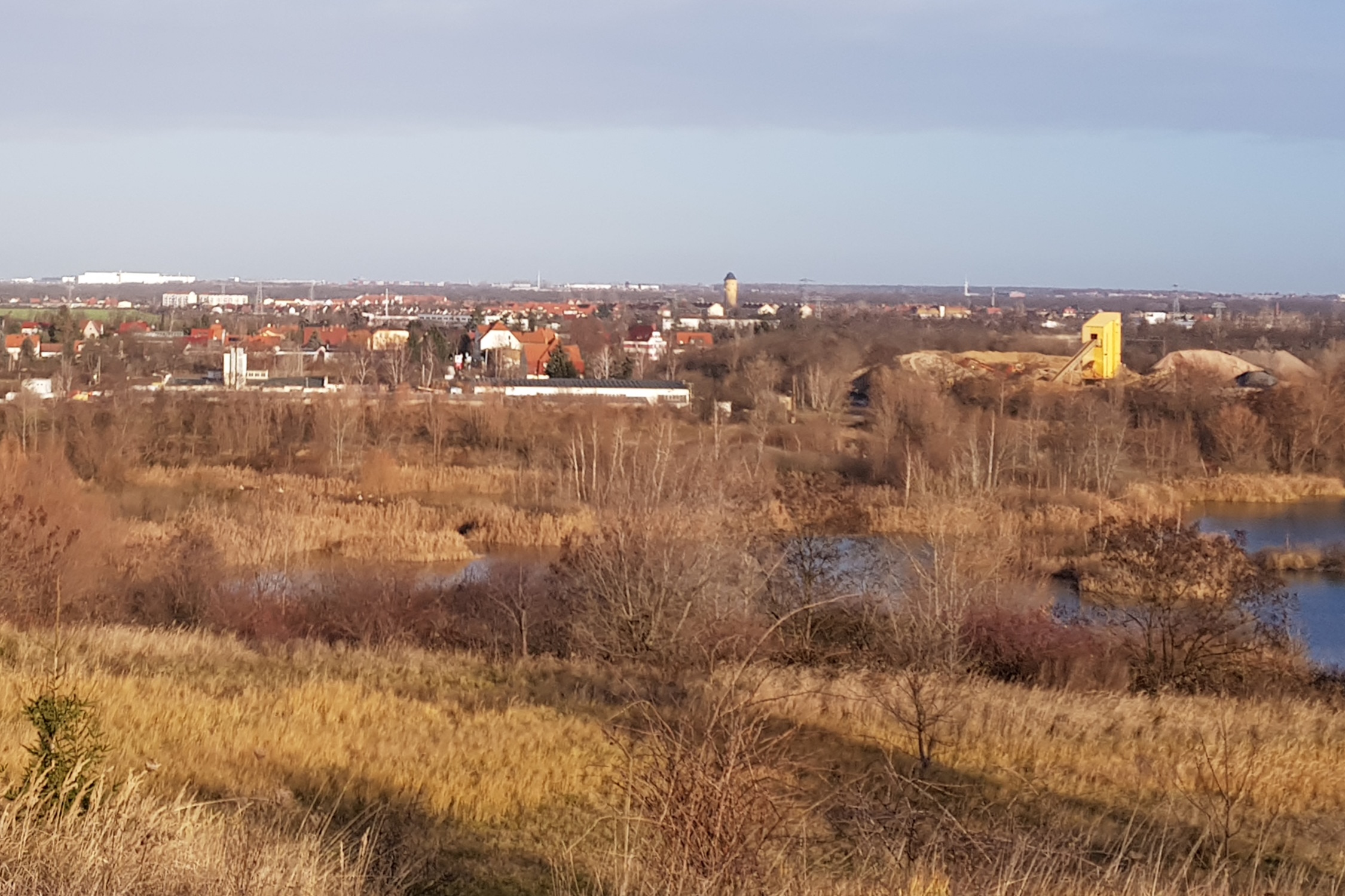 Blick über die Schönauer Sumpflache zum Betriebsgelände von GP Papenburg. Foto: Marko Hofmann