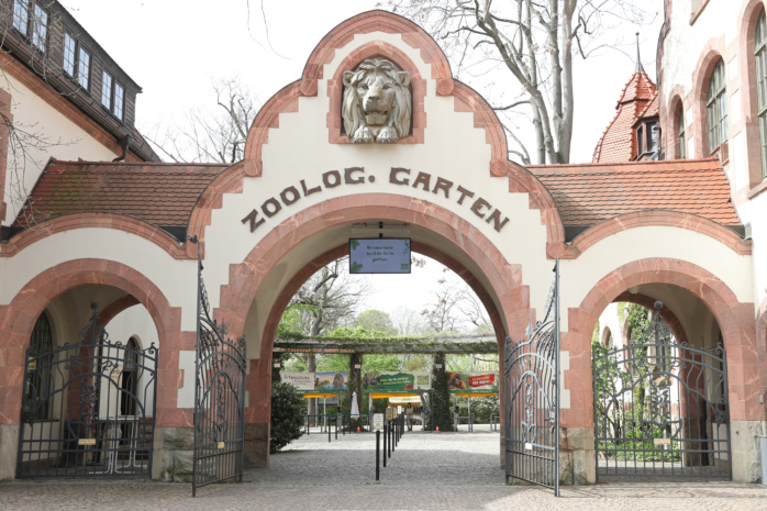 Neue-Entwicklungen-im-Rahmen-der-Avi-ren-Influenza-T-tung-aller-Krauskopfpelikane