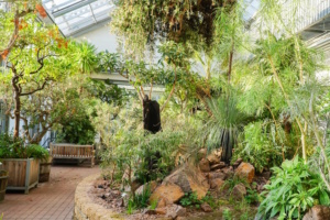 Blick in Gewächshaus mit zahlreichen Pflanzen.