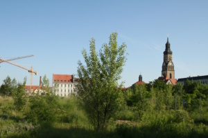 Grünfläche mit Bewuchs, blauer Himmel, Haus, Kirchturm.