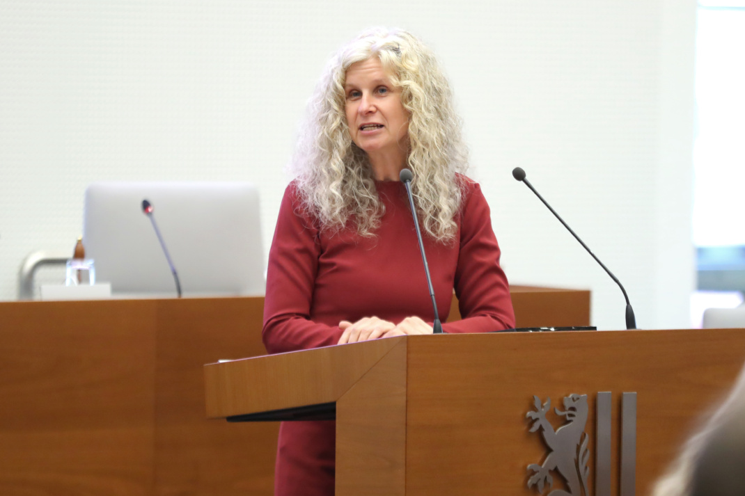 Stadträtin Anna Schneider-Kaleri im Stadtrat.