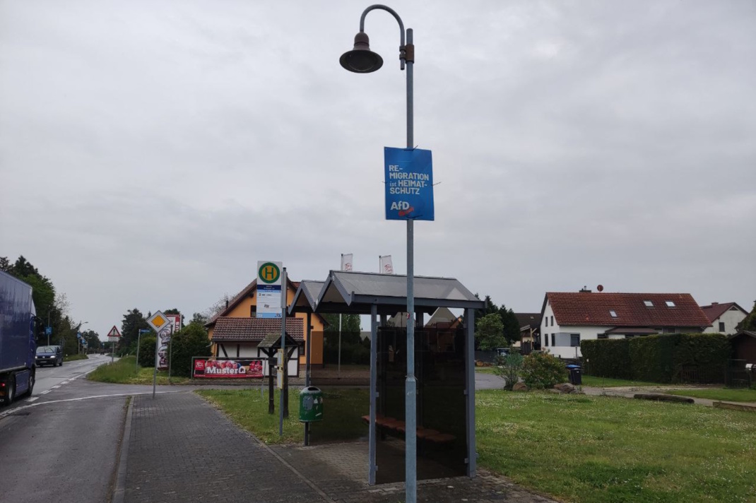 Straße mit Laternenpfahl und AfD-Plakat.