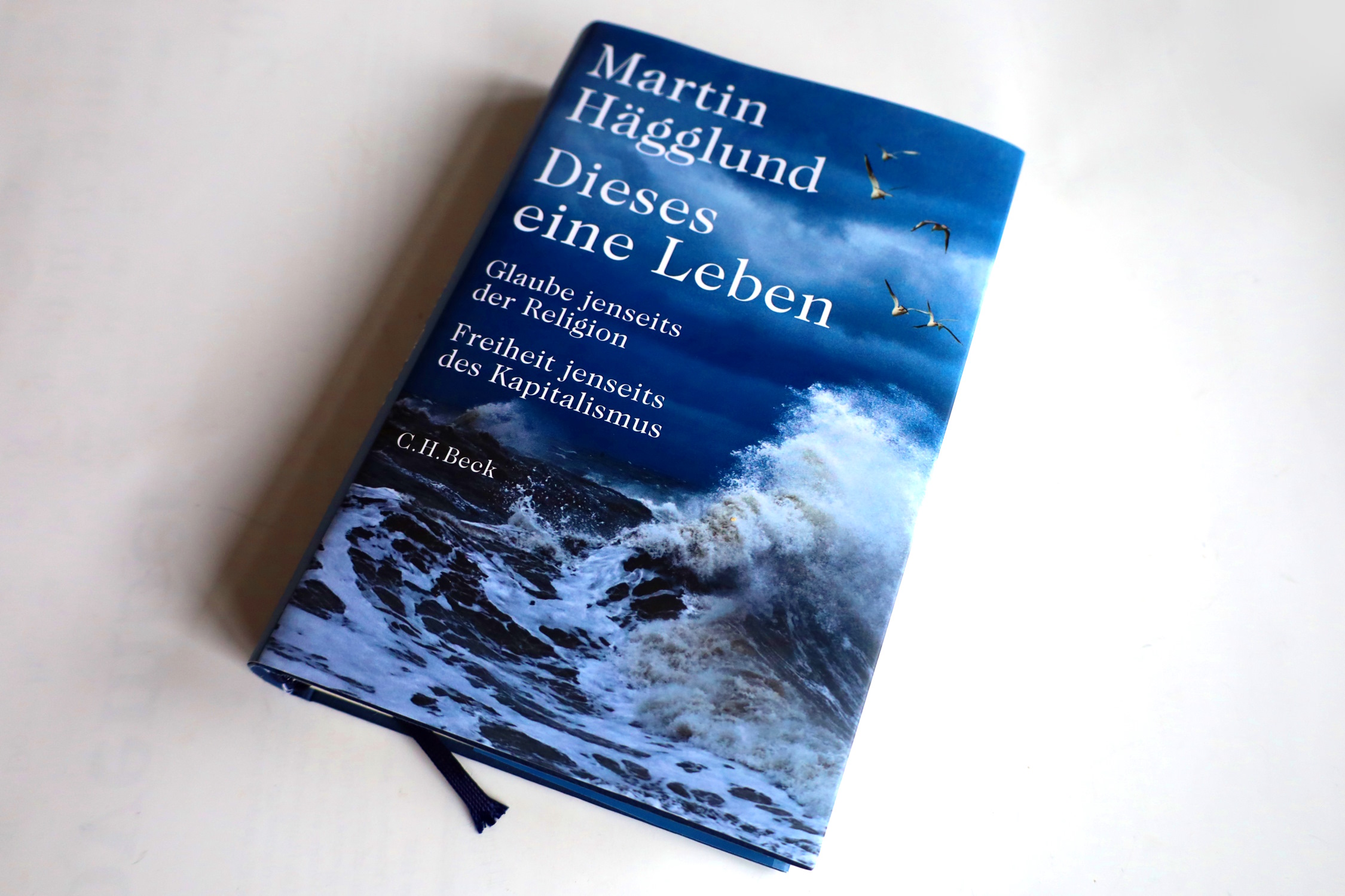 Dieses eine Leben Warum Religion und Kapitalismus verhindern, dass wir
