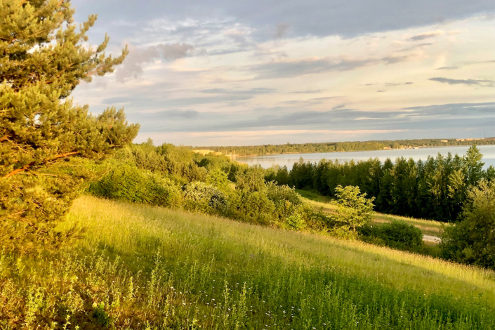 Landschaft, See, gr&uuml;nes Gras und B&auml;ume