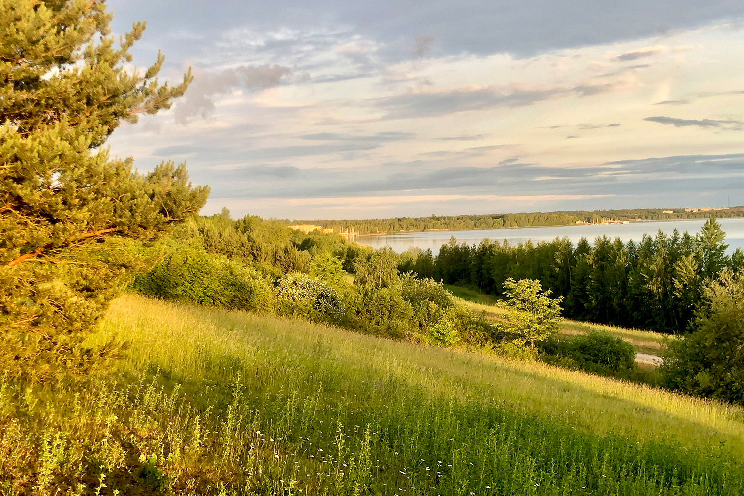 Landschaft, See, grünes Gras und Bäume
