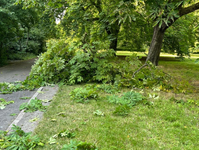 Folgen des Unwetters in Leipzig-Südost am 18. Juni 2024. Foto: LZ