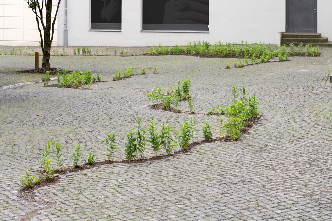 Teil der Installation „Frühling“ von Nina Schuiki.